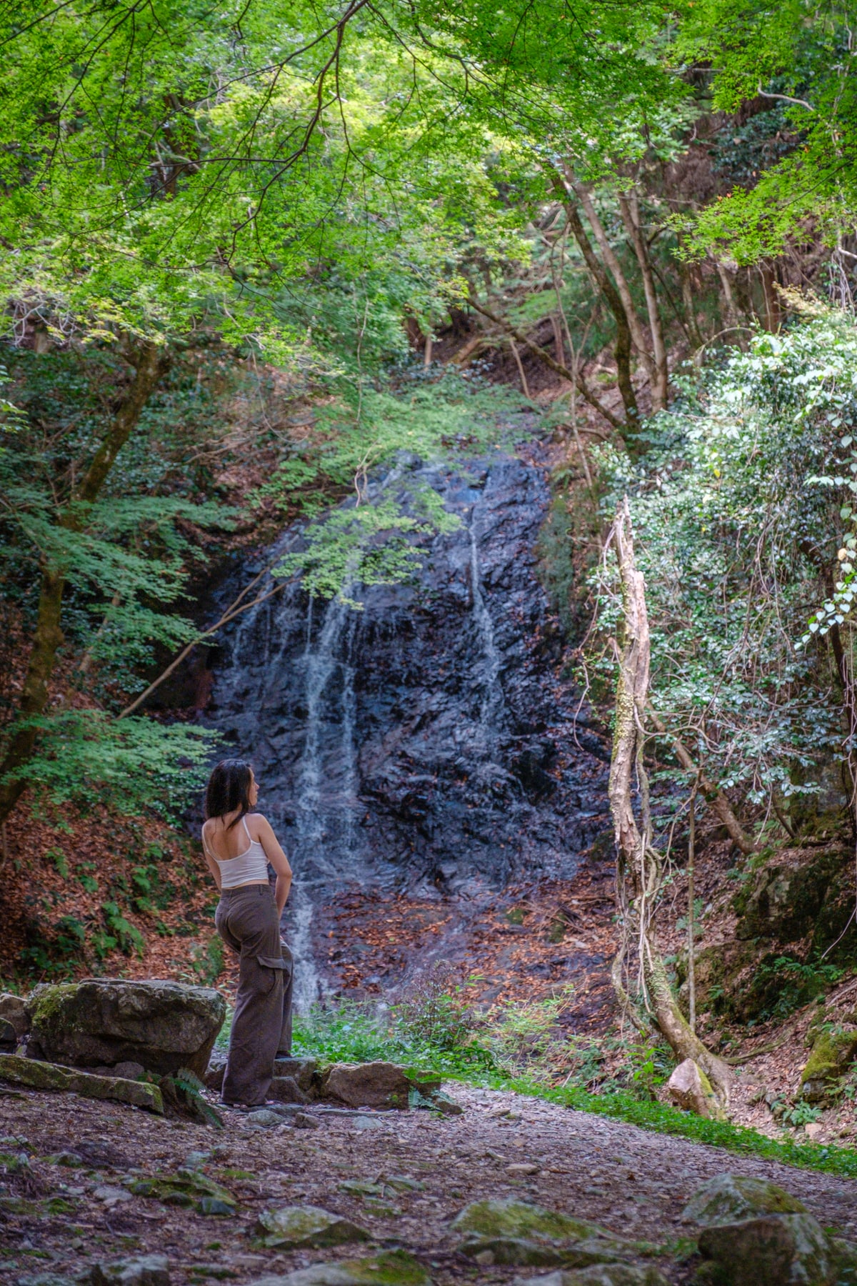 Showa Kinen Park Japanese Garden